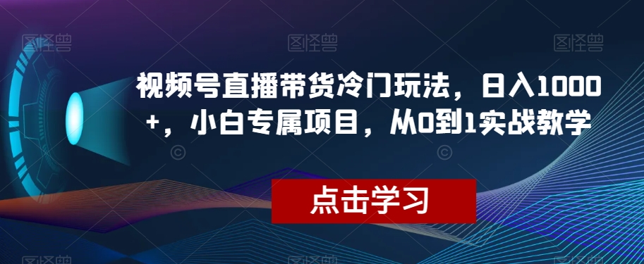 视频号直播带货冷门玩法，日入1000+，小白专属项目，从0到1实战教学【揭秘】-吾爱自习网