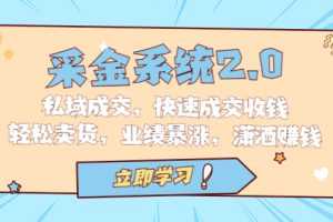 （6750期）采金 系统2.0，私域成交，快速成交收钱，轻松卖货，业绩暴涨，潇洒赚钱