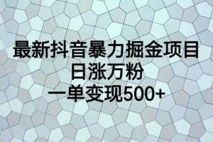 (6660期)最新抖音暴力掘金项目,日涨万粉,一单变现500+