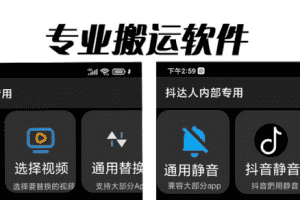 (6576期)对外收费699抖音傻瓜式一键搬运,起号专用5分钟一个视频《软件+详细教程》