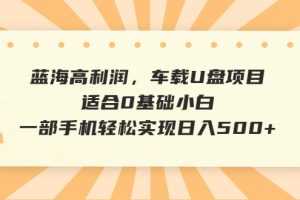 (6600期)蓝海高利润,车载U盘项目,适合0基础小白,一部手机轻松实现日入500+