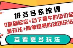 （6217期）拼多多系统课：0基础起店+当下最牛的低价起量玩法+简单粗暴的动销玩法