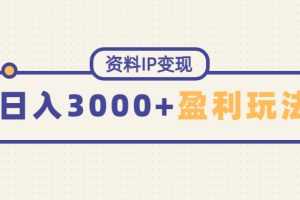 （4576期）资料IP变现，能稳定日赚3000起的持续性盈利玩法