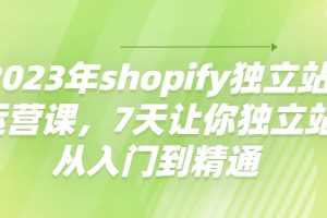 （4230期）2023年shopify独立站运营课，7天让你独立站从入门到精通