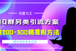 (4122期)外面收费888元的QQ群另类引流方案:日200~300精准粉方法