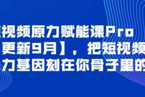 (3888期)短视频原力赋能课Pro【更新9月】,把短视频能力基因刻在你骨子里的课