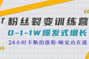 (3263期)「粉丝裂变训练营」0-1-1w爆发式增长,24小时不断的涨粉-睡觉也在涨-16节课