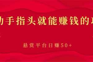 (2863期)新手小项目:动动手指头就能赚钱的项目,悬赏平台日赚50+
