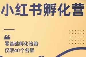 （1763期）勇哥小红书撸金快速起量项目：教你如何快速起号获得曝光，做到月躺赚3000+