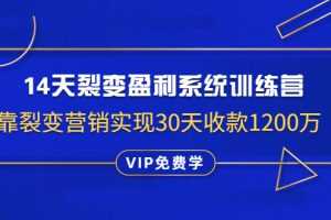 (1317期)14天裂变盈利系统训练营:靠裂变营销实现30天收款1200万(无水印)