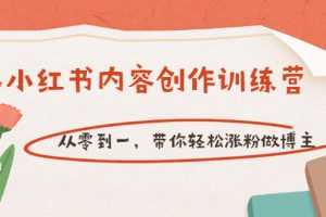 （3166期）【小红书内容创作训练营】从零到一，带你轻松涨粉做博主（价值399）