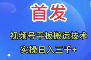 （7843期）全网首发：视频号平板搬运技术，实操日入三千＋