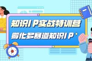（7317期）知识IP实战特训营，​孵化-多赛道知识IP（33节课）