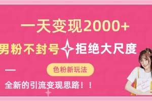 （7166期）一天收款2000元，男粉不封号拒绝大尺度-色粉全新的变现方法