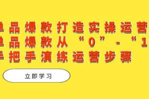 单品爆款打造实操运营，单品爆款从“0”-“1”手把手演练运营步骤