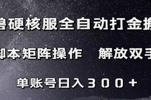 魔兽硬核服自动打金搬砖，脚本矩阵操作，单账号300+ （附教程+脚本）