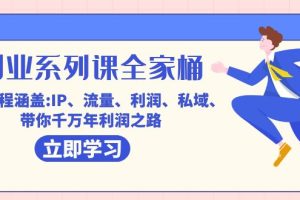 创业系列课-全家桶，9大课程涵盖:IP 流量 利润 私域 带你千万年利润之路