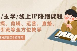 国学/玄学/线上IP陪跑课程，从0-1全方位教学，快速发展数百个矩阵号