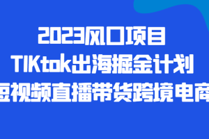 2023风口项目TIKtok出海掘金计划短视频直播带货跨境电商