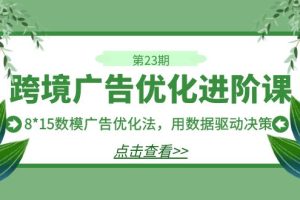 跨境广告·优化进阶课·第23期，8*15数模广告优化法，用数据驱动决策