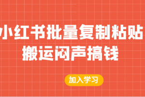 某公众号付费文章：小红书批量复制粘贴搬运闷声搞钱！