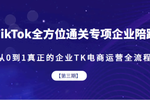 TikTok全方位通关专项企业陪跑【第三期】，从0到1真正的企业TK电商运营全流程