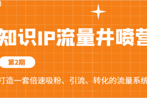 知识IP流量井喷营第2期，打造一套倍速吸粉、引流、转化的流量系统