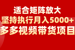 矩阵操作月入5000+，多多视频带货项目，适合新手，也适合老手放大