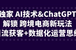 独家 AI技术&ChatGPT解锁 跨境电商新玩法，引流获客+数据化运营思维