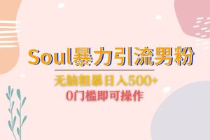 Soul暴力引流男粉玩法，无脑粗暴日入500＋，0门槛即可操作