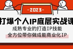 打爆·个人IP底层实战课，成熟专业的打造IP技能 全方位带你做成能商业化IP