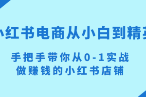 小红书电商项目：从小白到精英 手把手带你从0-1实战做赚钱的小红书店铺