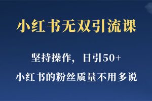 小红书无双课一天引50+女粉，不用做视频发视频，小白也很容易上手拿到结果