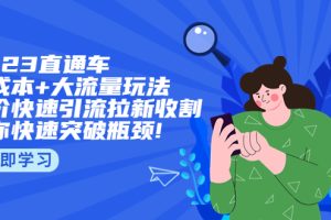 2023直通小成本+大流量玩法，低价快速引流拉新收割，让你快速突破瓶颈