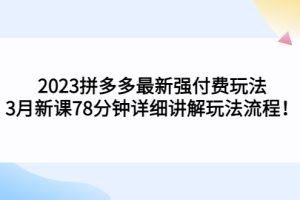 2023拼多多最新强付费玩法，3月新课78分钟详细讲解玩法流程