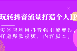 玩转抖音流量打造个人IP，实体店利用抖音强引流变现，打造爆款视频，内容脚本