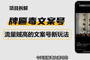 2023抖音快手毒文案新玩法，牌匾文案号，起号快易变现