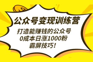 公众号变现训练营（第3期）打造能赚钱的公众号，0成本日涨1000粉，霸屏技巧