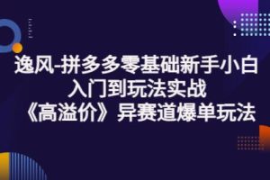 拼多多零基础新手小白入门到玩法实战《高溢价》异赛道爆单玩法实操课