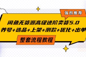 闲鱼无货源高级进阶卖货5.0，养号+选品+上架+测款+优化+出单整套流程教程