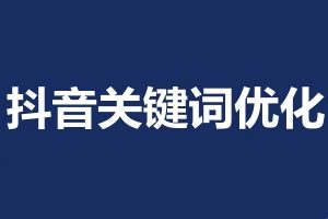 抖音搜索电商流量获取方法论，提升抖店电商运营和优化店铺的能力（价值588元）