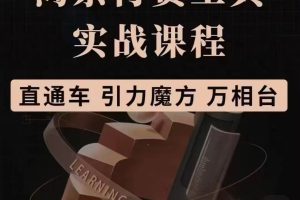 淘系付费工具实战课程【直通车、引力魔方】战略优化，实操演练，根据目标调整方案