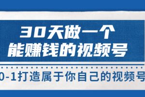 30天做一个能赚钱的视频号，从0-1打造属于你自己的视频号 (价值199元)