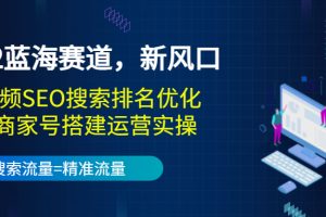 2022蓝海赛道，新风口：短视频SEO搜索排名优化+企业商家号搭建运营实操