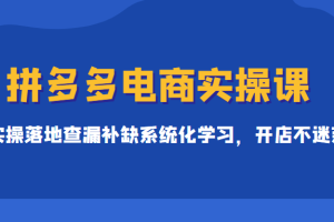 拼多多电商实操课，实操落地查漏补缺系统化学习，开店不迷茫（价值299元）