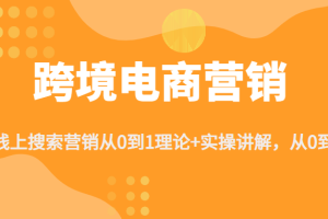 跨境电商营销:线上搜索营销从0到1理论+实操讲解，从0到1