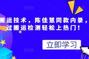 最新搬运技术视频替换，陈佳慧同款内录，测试最高跑了2亿