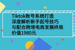 Tiktok账号系统打造，深度解析新手起号技巧与跨境电商发展终局价值1980元