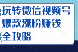 玩转微信视频号爆款涨粉赚钱全攻略，让你快速抓住流量风口，收获红利财富