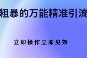 简单粗暴的万能精准引流技巧 立即操作立即见效